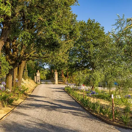 Podere Grotta Antica Chiusi